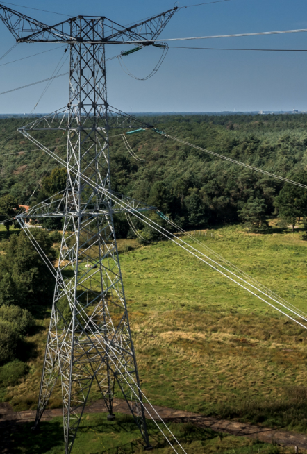 NASEO Launches State and Industry Collaborative to Support Implementation of Advanced Grid Optimization Technologies